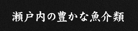 瀬戸内の豊かな魚介類