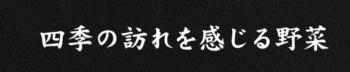 四季の訪れを感じる野菜